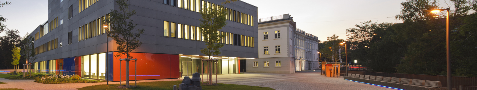 Hochschulschloss Vöhlinschloss