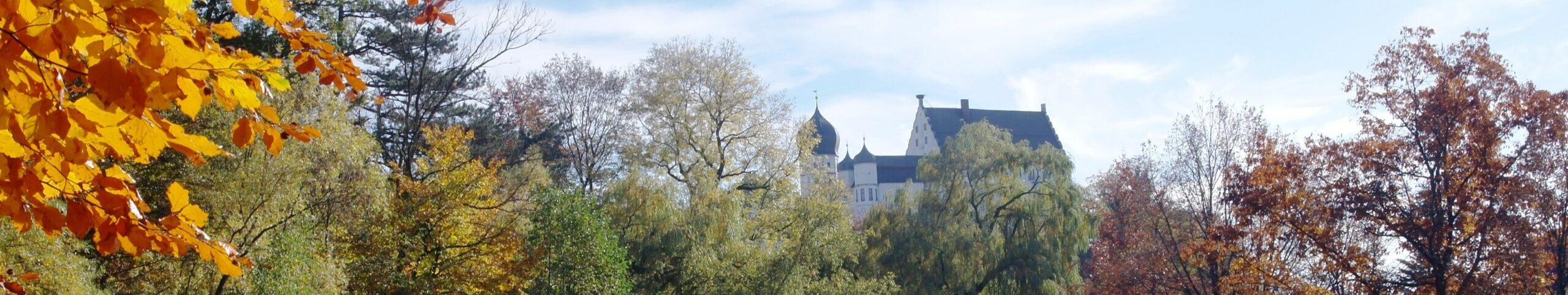 Hochschulschloss Vöhlinschloss